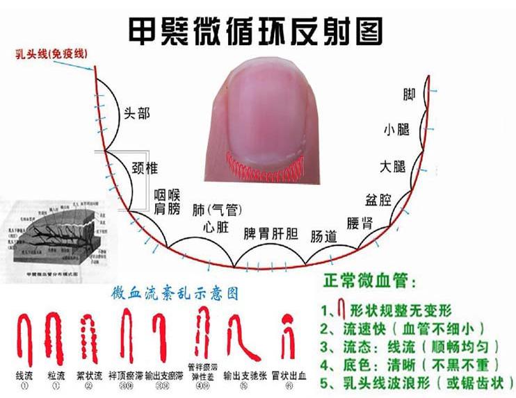 新达启帆微循环检测仪