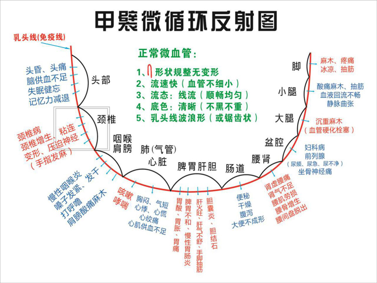 新达启帆微循环检测仪